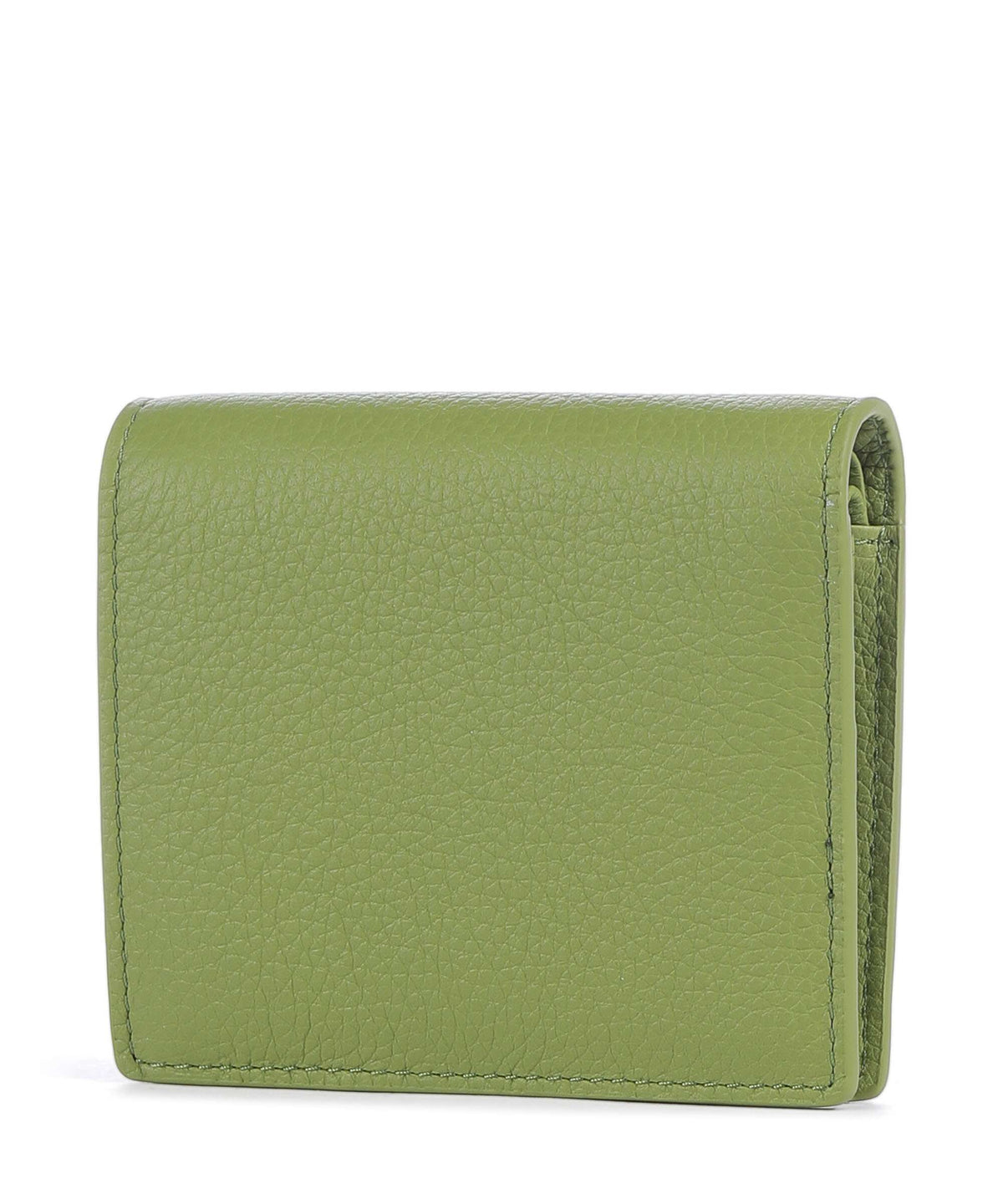 Aigner Zita Wallet pistachio green