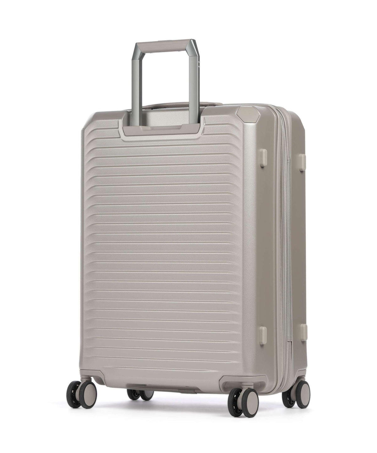 Echolac Shogun EVO M Spinner (4 wheels) champagne