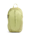 Deuter AC Lite 21 SL Wanderrucksack sprout linden