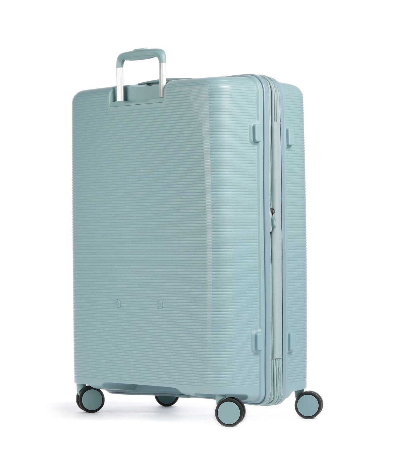 Echolac Forza L Spinner (4 wheels) coastal blue