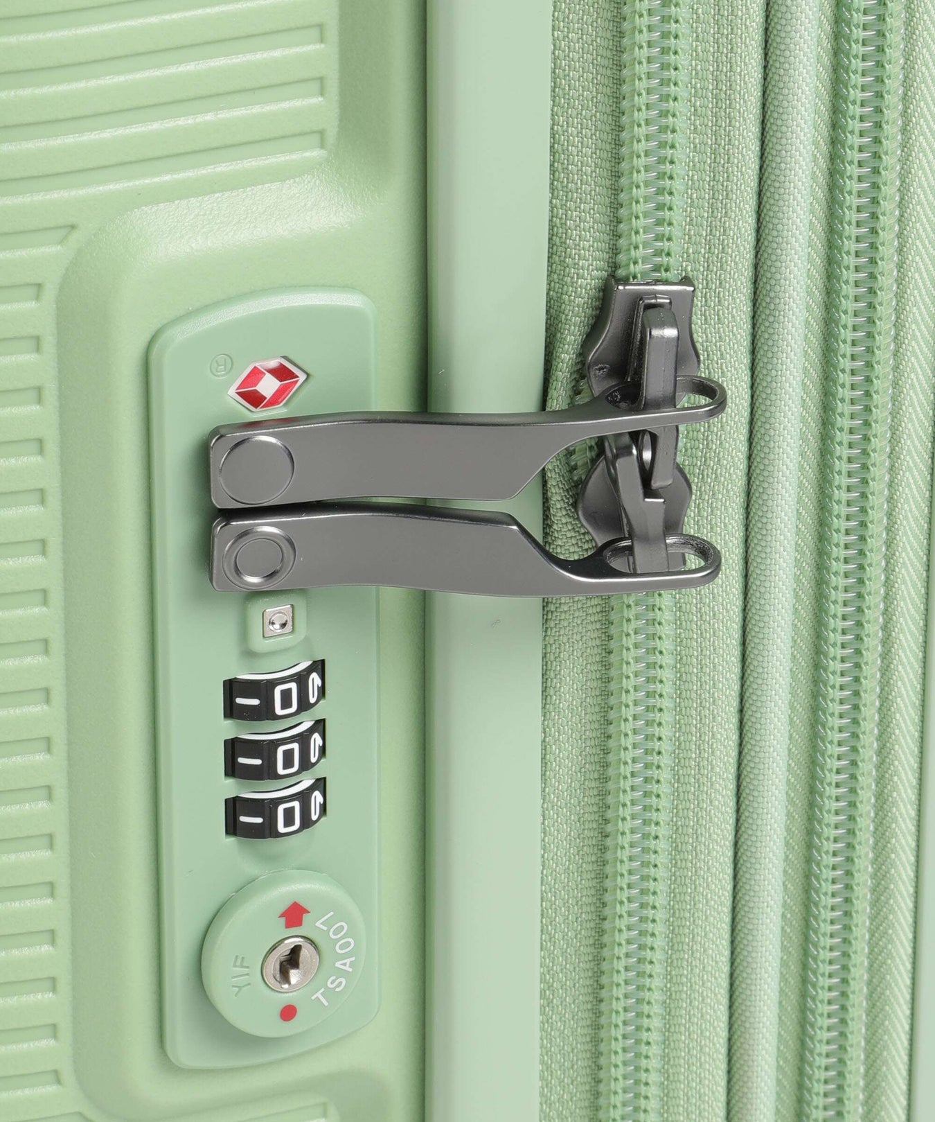 Echolac Forza S Spinner (4 wheels) reef green