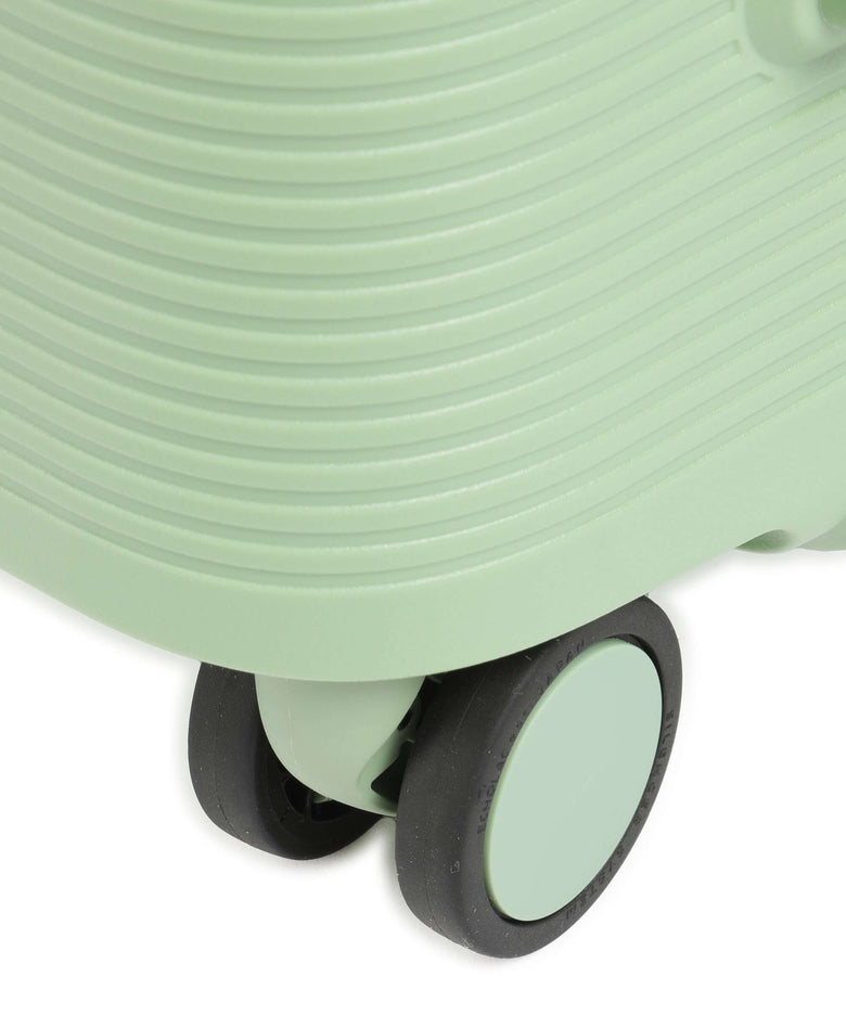 Echolac Forza M Spinner (4 wheels) reef green