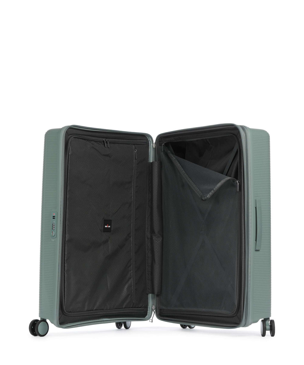 Echolac Forza L Spinner (4 wheels) sage leaf