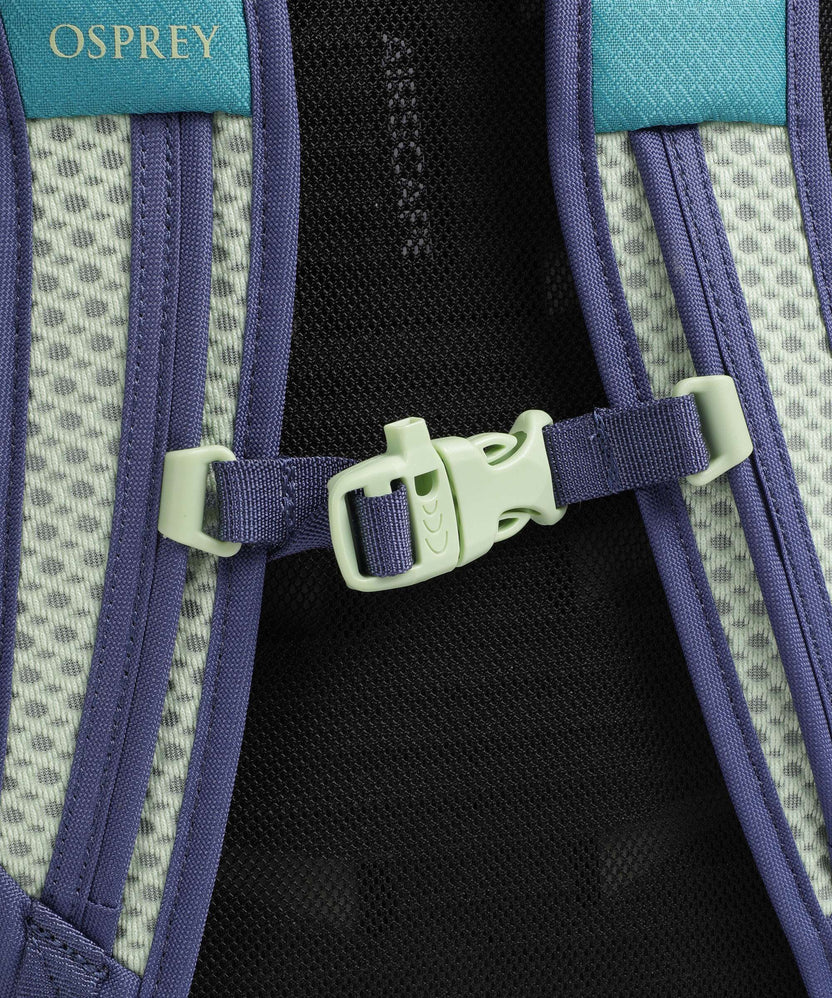 Osprey Daylite Plus Plus Backpack blue spikemoss/alkaline